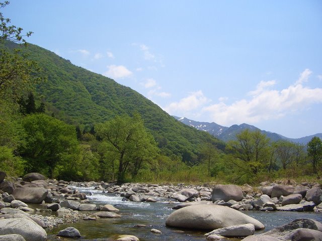 582362_253356448105948_100002947847307_490171_1516798285_n